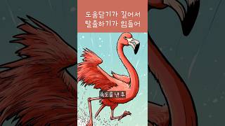 홍학이 동물원을 탈출할 수 없는 이유 #동물 #과학 #홍학