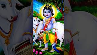 Mahake kunja kanana bhajana || Sri Krishna|| status video # trending #utubeshort # ira  mahanti song