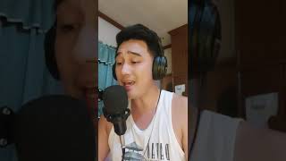 you are my song (cover) tonel