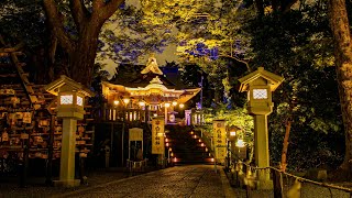 「邦楽の夕べ」#和太鼓#中秋の名月#白旗神社