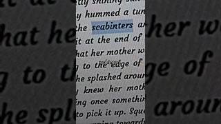I Still Dont Know Wtf A Scabinter Is