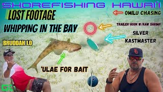 SHOREFISHING HAWAI'I: WHIPPING IN THE BAY...ULAE FOR BAIT