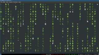 Bash Scripting 3 -- Variables and Quoting