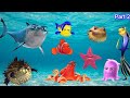 gegagedigedagedago oceanic original all part | oceanic gegagedigedagedago | cotton eye joe meme