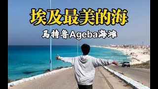 这里是埃及最美的海，马特鲁Ageba海滩，这也是我见过的最美的海