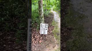 土佐神社　歩き