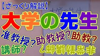 大学の先生【用語ざっくり解説】