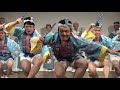 癒やしの阿波踊り❕「志留波阿連」2019秋の座・高円寺阿波おどり（2019.11.23）