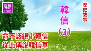 歷史故事系列之韓信篇（3）：命不該絕小韓信  從此傳說韓信草 | 真相傳媒