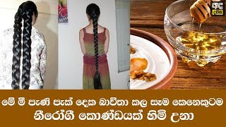 හිසකෙස් නිරෝගී සහ දිගු කරන ප්‍රභල මී පැණි සත්කාර දෙකක් - How To Repair Damaged Hair Fast Naturally