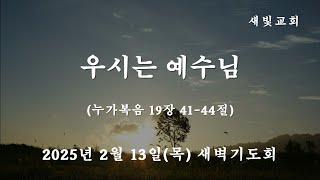 [새빛교회 새벽기도회] 우시는 예수님 │ 누가복음 19장 41-44절 │ 김용일 담임목사 │ 2025년 2월 13일