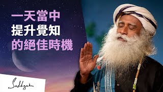 為何黎明時分能提升你的覺知 | Sadhguru (薩古魯)