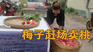 梅子跟着海娃去赶场卖桃子，用上大喇叭，效果还不错【梅子加油】