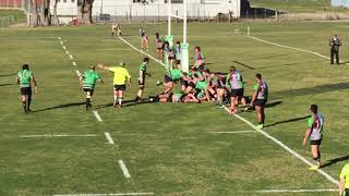 Devonport Bulls vs Harlequins 3 August 2919