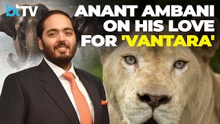 Anant Ambani Expresses His Love For Animals \u0026 How 'Vantara' Is Home For All The Animals