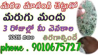 Marugu mandu 9010675727 మరుగు మందు ఎలా పెట్టాలో తెలుగులో చెప్పండి Marugu Mandu telugu (100%works)