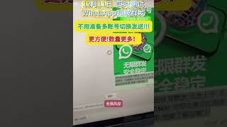 whatsapp超级群发 不用准备多账号切换发送，更方便！数量更多！#whatsapp #whatsapp群发软件