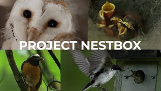 Project Nestbox. One man builds over 5000 nest boxes and keeps on going.