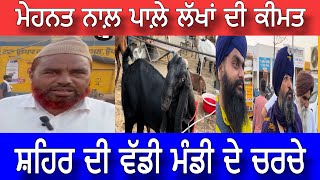 Malerkotla ਲੱਖਾਂ ਚ ਆਉਂਦੇ ਬੱਕਰੇ ਇੱਥੇ