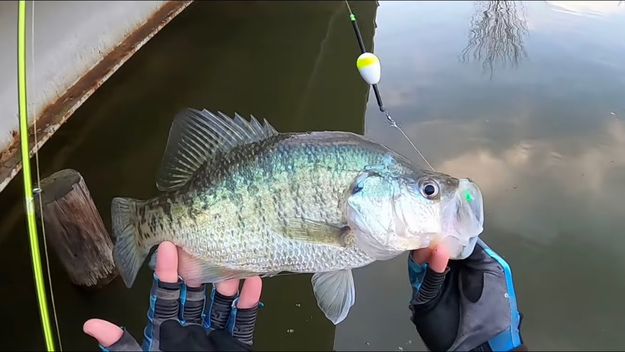 Crappie Fishing With Jig Bobber From The Bankвђјпёџ Crazy Double Jig Rig