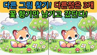 다른 그림 찾기(Find the differences) 도전해보세요.no.250217