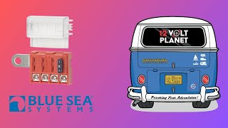 Blue Sea Systems Battery Terminal Mount Fuse Block | 12 Volt Planet