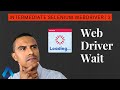How to use WebDriverWait | Selenium 4.0 Example