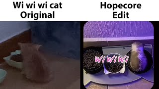 Wi wi wi Cat Original vs Edit