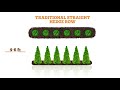 privacy trees fast growing privacy trees plantingtree™