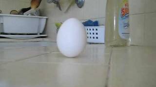 Vernal Equinox Egg Balancing Act