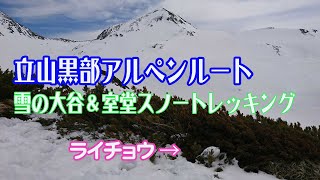 立山黒部アルペンルート Day1 雪の大谷＆室堂スノトレ 雷鳥にも会えたヨ Tateyama Kurobe Alpine Route Snow Corridor