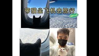 美国第一次带猫坐飞机去旅游过程记录