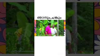 എന്തൊക്കെയോ നടക്കുന്നു