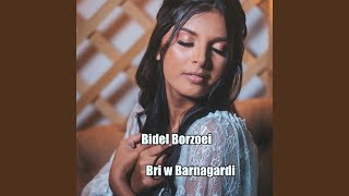 Bri w Barnagardi