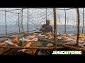 FISHING FOR FOOD IN JAMAICA WITH REAL FISHERMEN [CATCH & COOK]