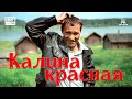 Download Калина красная In Mp4 3Gp Full HD Video