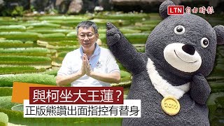 與柯P坐大王蓮？正版熊讚出面指控「有替身」