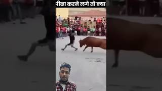 अगर सांड पीछे 🐂 पर जाए तो क्या करना है देखो #animals #factsinhindi #fact #motivation #shorts #viral