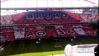 Hino do Sport Lisboa e Benfica | Coreografia Estádio da Luz