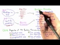Putting It All Together Solution - Intro to Theoretical Computer Science