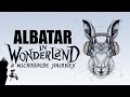 Albatar In Wonderland - Minimal House Mixtape (Vinyls Only)