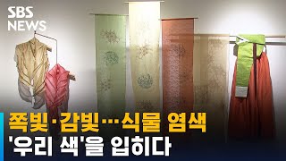 쪽빛·감빛…식물 염색으로 '우리 색'을 입히다 / SBS