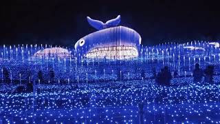 Japan's Longest Winter Illumination / Nabana no Sato 2022/ #nabananosato