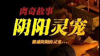 【離奇故事】陰陽靈寵：能通陰陽的靈寵...【殺豬刀詭實錄】聽書|有聲書|恐怖故事|睡前故事