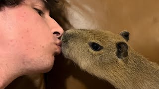 How to Kiss a Capybara (Speedrun 100% *no hacks*)