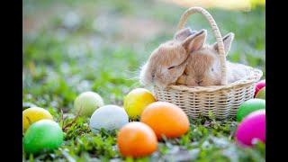 Relax Easter Music Happy  Life 2023 instrumental ,soothing ,peaceful ,rest ,music,soothing,sleeping