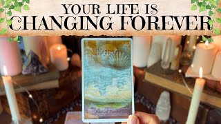 Your Life Is About to Change Forever 💫 Tarot Reading 🔮 Timeless