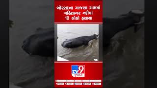 બોરસદના ગાજણા ગામમાં મહિસાગર નદીમાં 13 લોકો ફસાયા | Gujarat Rain | Gujarat Weather | TV9News