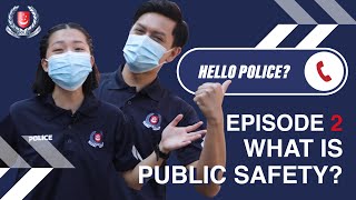 “Hello Police?” 2– What is Public Safety?