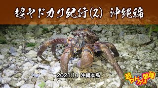 超ヤドカリ紀行(2) 沖縄編「シマヨコバサミいました！ 新種も発見！」 2021.11.03-11.08 沖縄本島